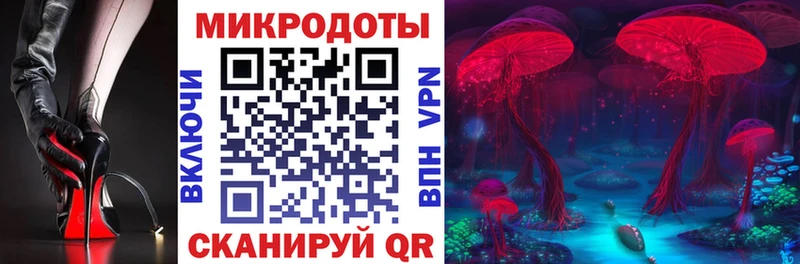 купить   Боровичи  Псилоцибиновые грибы Psilocybe 